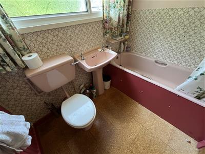 Picture 11